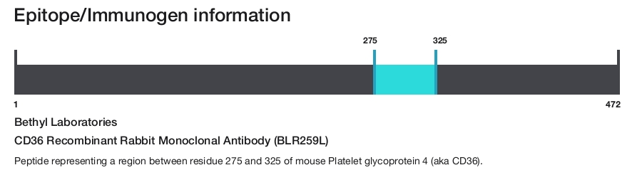 CD36 Recombinant Rabbit Monoclonal Antibody (BLR259L)