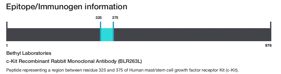c-Kit Recombinant Rabbit Monoclonal Antibody (BLR263L)