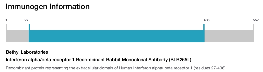 Interferon alpha/beta receptor 1 Recombinant Rabbit Monoclonal Antibody (BLR265L)