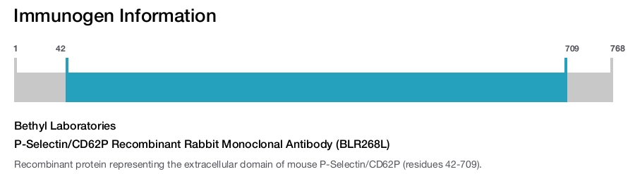 P-Selectin/CD62P Recombinant Rabbit Monoclonal Antibody (BLR268L)