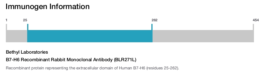 B7-H6 Recombinant Rabbit Monoclonal Antibody (BLR271L)
