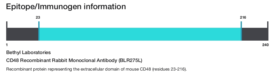 CD48 Recombinant Rabbit Monoclonal Antibody (BLR275L)