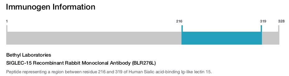 SIGLEC-15 Recombinant Rabbit Monoclonal Antibody (BLR276L)