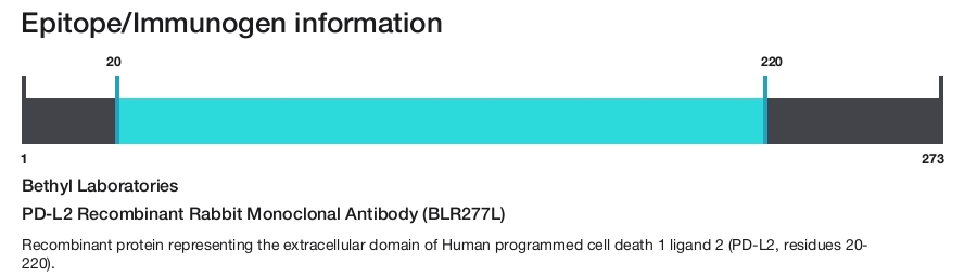 PD-L2 Recombinant Rabbit Monoclonal Antibody (BLR277L)