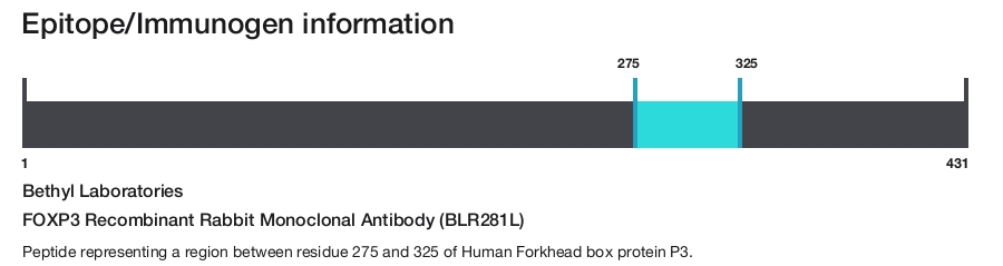 FOXP3 Recombinant Rabbit Monoclonal Antibody (BLR281L)