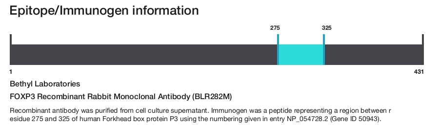 FOXP3 Recombinant Rabbit Monoclonal Antibody (BLR282M)