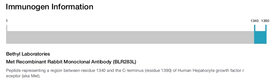 Met Recombinant Rabbit Monoclonal Antibody (BLR283L)