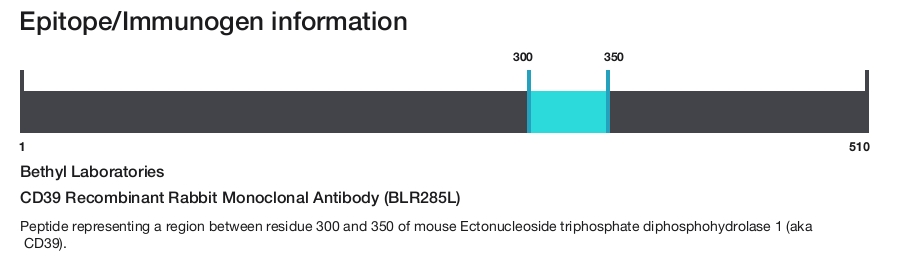 CD39 Recombinant Rabbit Monoclonal Antibody (BLR285L)