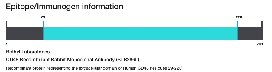 CD48 Recombinant Rabbit Monoclonal Antibody (BLR286L)