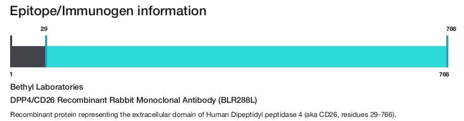 DPP4/CD26 Recombinant Rabbit Monoclonal Antibody (BLR288L)