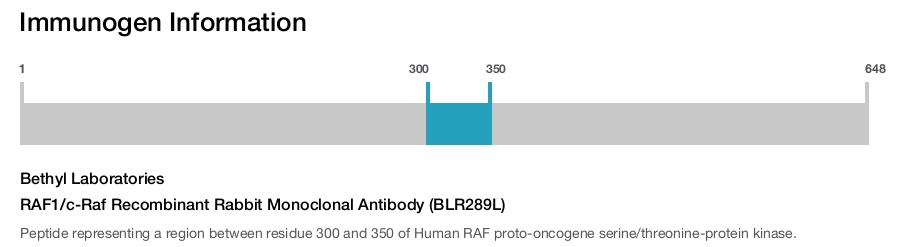 RAF1/c-Raf Recombinant Rabbit Monoclonal Antibody (BLR289L)