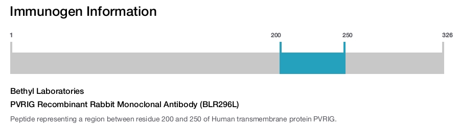 PVRIG Recombinant Rabbit Monoclonal Antibody (BLR296L)