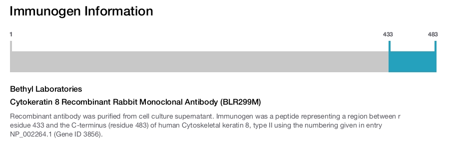 Cytokeratin 8 Recombinant Rabbit Monoclonal Antibody (BLR299M)