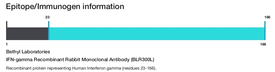 IFN-gamma Recombinant Rabbit Monoclonal Antibody (BLR300L)