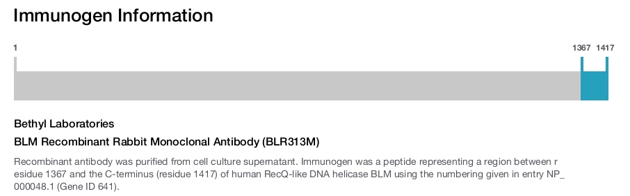BLM Recombinant Rabbit Monoclonal Antibody (BLR313M)