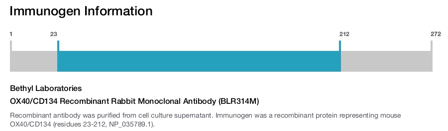 OX40/CD134 Recombinant Rabbit Monoclonal Antibody (BLR314M)