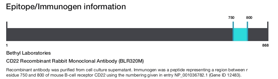 CD22 Recombinant Rabbit Monoclonal Antibody (BLR320M)
