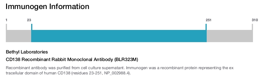 CD138 Recombinant Rabbit Monoclonal Antibody (BLR323M)
