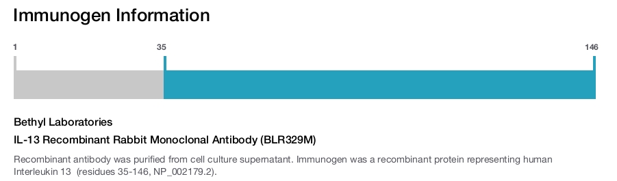 IL-13 Recombinant Rabbit Monoclonal Antibody (BLR329M)