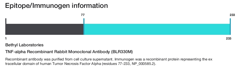 TNF-alpha Recombinant Rabbit Monoclonal Antibody (BLR330M)