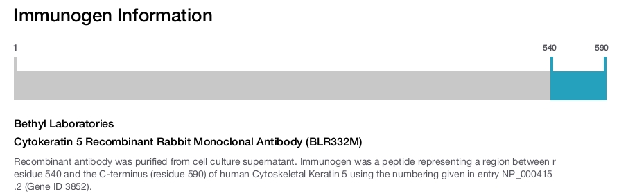 Cytokeratin 5 Recombinant Rabbit Monoclonal Antibody (BLR332M)