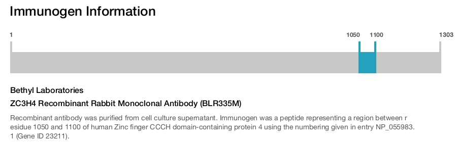 ZC3H4 Recombinant Rabbit Monoclonal Antibody (BLR335M)