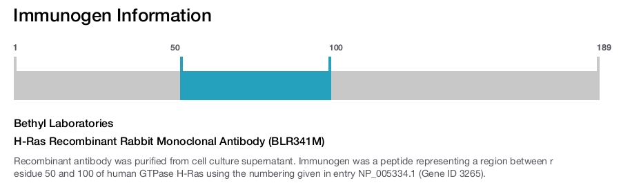 H-Ras Recombinant Rabbit Monoclonal Antibody (BLR341M)