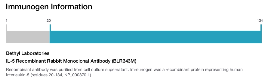 IL-5 Recombinant Rabbit Monoclonal Antibody (BLR343M)