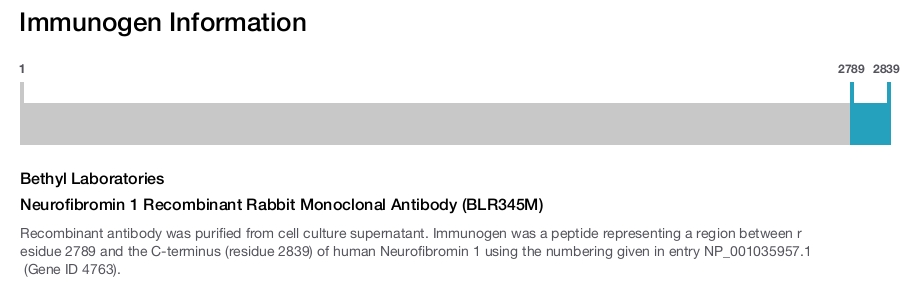 Neurofibromin 1 Recombinant Rabbit Monoclonal Antibody (BLR345M)