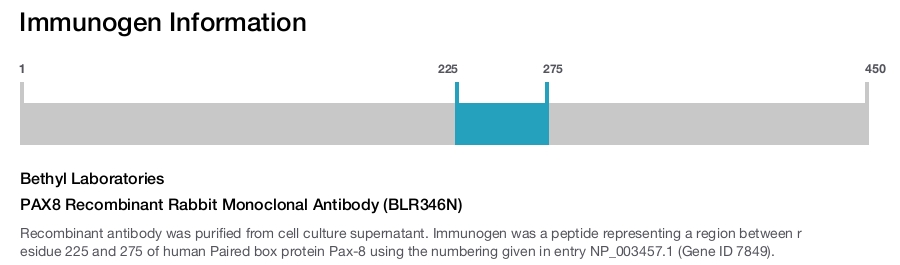 PAX8 Recombinant Rabbit Monoclonal Antibody (BLR346N)
