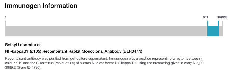 NF-kappaB1 (p105) Recombinant Rabbit Monoclonal Antibody (BLR347N)