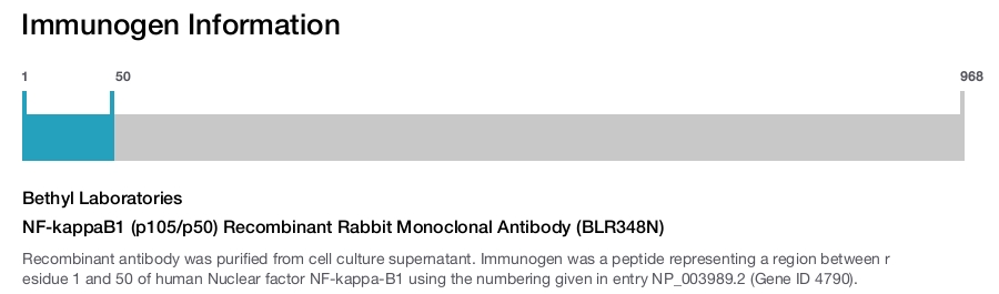 NF-kappaB1 (p105/p50) Recombinant Rabbit Monoclonal Antibody (BLR348N)