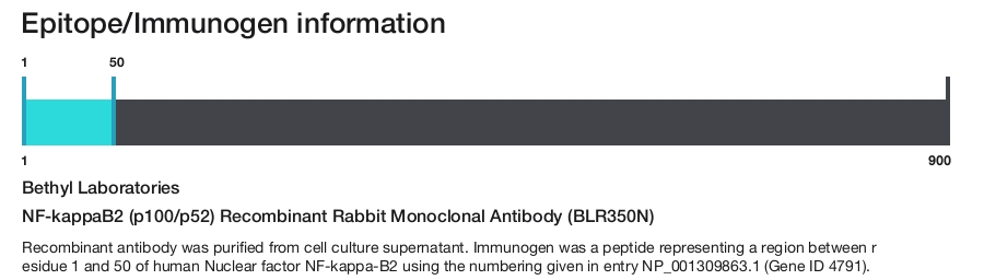 NF-kappaB2 (p100/p52) Recombinant Rabbit Monoclonal Antibody (BLR350N)