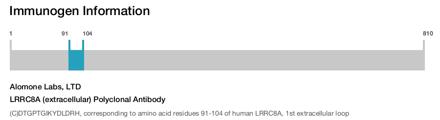 LRRC8A (extracellular) Polyclonal Antibody