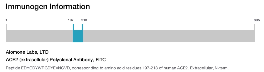 ACE2 (extracellular) Polyclonal Antibody, FITC