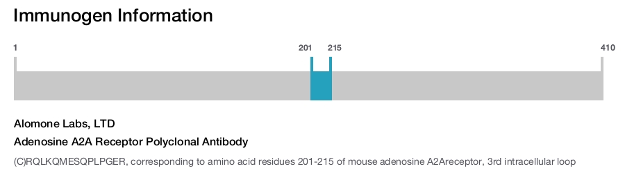 Adenosine A2A Receptor Polyclonal Antibody