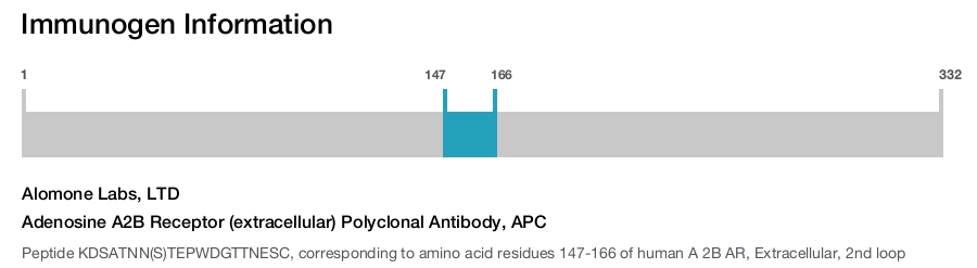 Adenosine A2B Receptor (extracellular) Polyclonal Antibody, APC