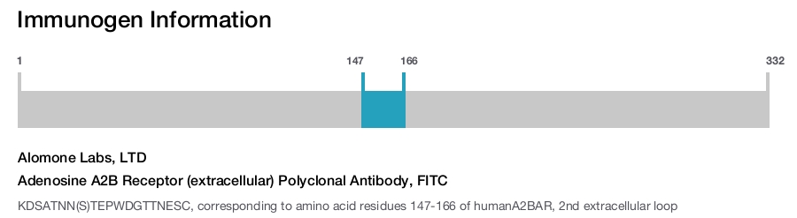 Adenosine A2B Receptor (extracellular) Polyclonal Antibody, FITC