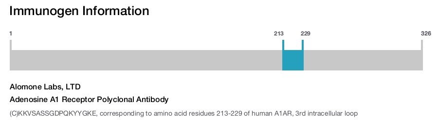 Adenosine A1 Receptor Polyclonal Antibody