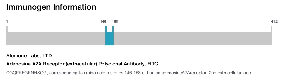 Adenosine A2A Receptor (extracellular) Polyclonal Antibody, FITC