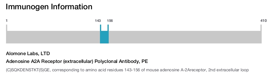 Adenosine A2A Receptor (extracellular) Polyclonal Antibody, PE