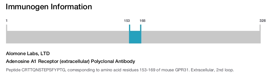 Adenosine A1 Receptor (extracellular) Polyclonal Antibody