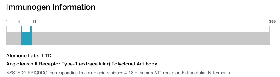 Angiotensin II Receptor Type-1 (extracellular) Polyclonal Antibody