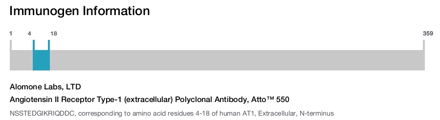 Angiotensin II Receptor Type-1 (extracellular) Polyclonal Antibody, Atto™ 550