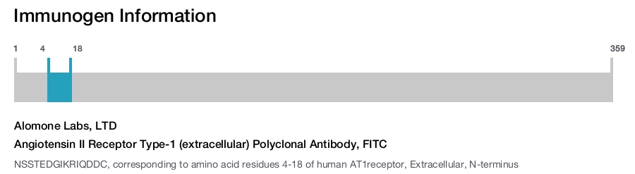 Angiotensin II Receptor Type-1 (extracellular) Polyclonal Antibody, FITC
