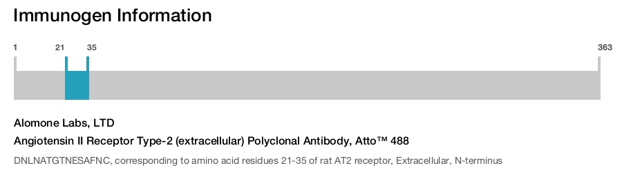 Angiotensin II Receptor Type-2 (extracellular) Polyclonal Antibody, Atto™ 488