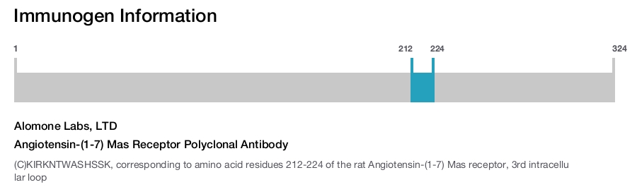 Angiotensin-(1-7) Mas Receptor Polyclonal Antibody