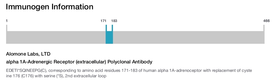 alpha 1A-Adrenergic Receptor (extracellular) Polyclonal Antibody