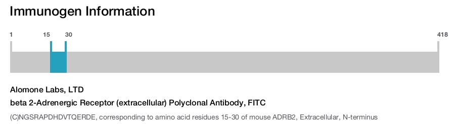 beta 2-Adrenergic Receptor (extracellular) Polyclonal Antibody, FITC