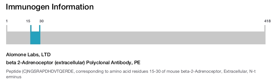beta 2-Adrenoceptor (extracellular) Polyclonal Antibody, PE
